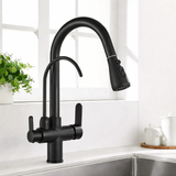 Black Kitchen Faucet with Filtered Water System, Pull-Out Sprayer and 360° Rotation