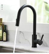 Pull-Out Kitchen Sink Faucet with Single Handle Mixer and Silver Finish