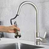 AquaFlex DuoSpray – Multifunctional Kitchen Faucet Spray Head with 2 Spray Modes