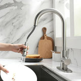 Pull-Out Kitchen Sink Faucet with Single Handle Mixer and Silver Finish