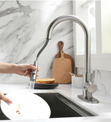 Pull-Out Kitchen Sink Faucet with Single Handle Mixer and Silver Finish
