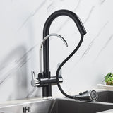 Black Kitchen Faucet with Filtered Water System, Pull-Out Sprayer and 360° Rotation