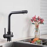 AquaPure 2-in-1 Filter Kitchen Faucet – Single Handle Mixer with Separate Filter Spout | Chrome & Matte Black
