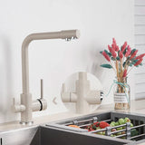 AquaPure 2-in-1 Filter Kitchen Faucet – Single Handle Mixer with Separate Filter Spout | Chrome & Matte Black