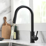Pull-Out Kitchen Sink Faucet with Single Handle Mixer and Silver Finish
