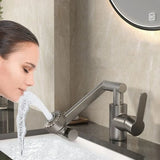 HydroFlex 1080° Rotating Faucet Extension Arm with Dual Spray Modes
