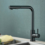 FlexiJet Black Pull-Out Kitchen Faucet – 360° Swivel, Dual Spray, Matte Black Stainless Steel