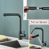 FlexiJet Black Pull-Out Kitchen Faucet – 360° Swivel, Dual Spray, Matte Black Stainless Steel