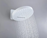 AquaRegal ThermoRain Spa System – 3-in-1 Thermostatic Rainfall Shower Set | Wall Mounted Solid Brass | Brushed Gold or Slate Gray