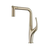 AquaLuxe – Luxury Pull-Out Kitchen Faucet | Brushed Gold & Black