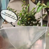 Nubora Cloud-Shaped Irregular Vanity Mirror – Frameless Acrylic Decorative Mirror