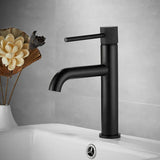 NoirÉlan Matte Black Luxury Bathroom Faucet – Solid Brass Single-Handle Sink faucet with Hot & Cold Control