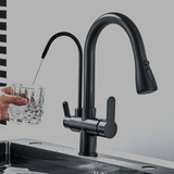 Black Kitchen Faucet with Filtered Water System, Pull-Out Sprayer and 360° Rotation